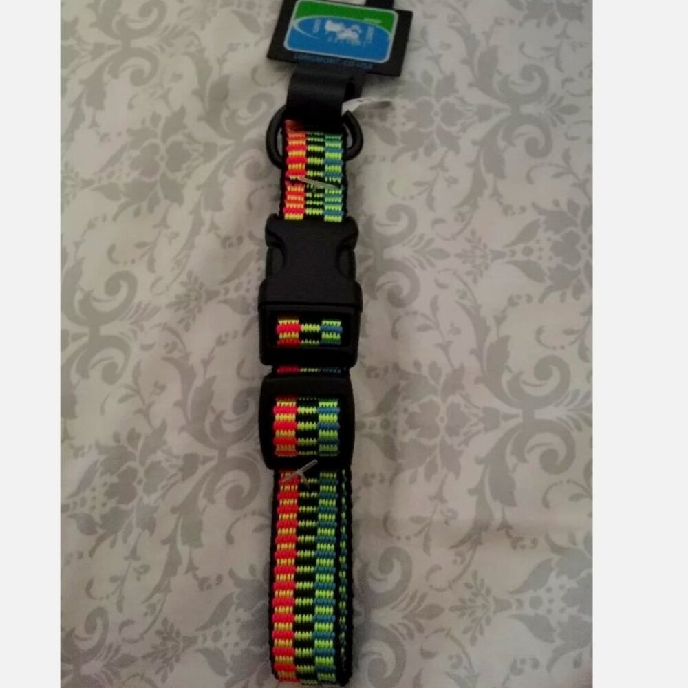 Small Dog Collar: Radiant Neon Adjustable Collar